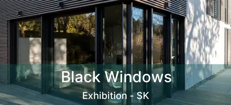  Black Windows Exhibition - SK