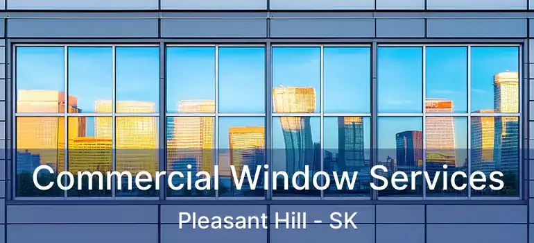  Commercial Window Services Pleasant Hill - SK