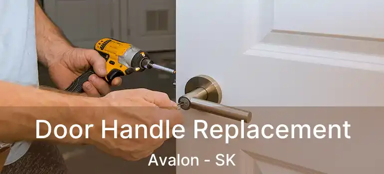  Door Handle Replacement Avalon - SK