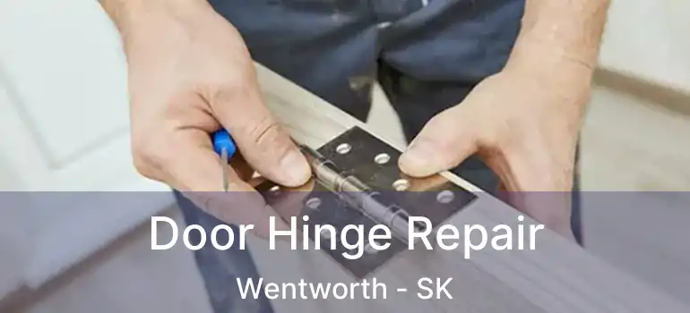 Door Hinge Repair Wentworth - SK