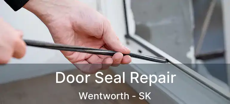  Door Seal Repair Wentworth - SK