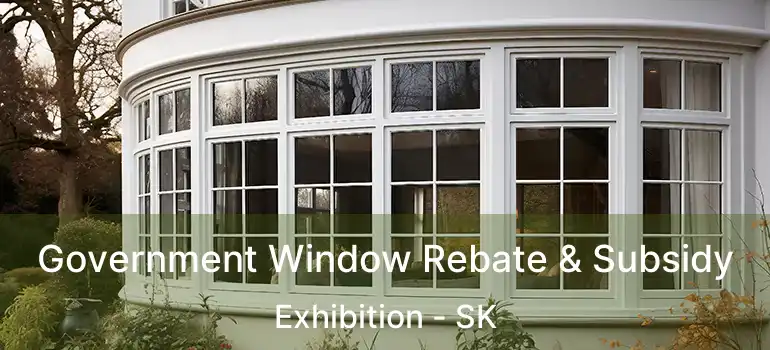  Government Window Rebate & Subsidy Exhibition - SK