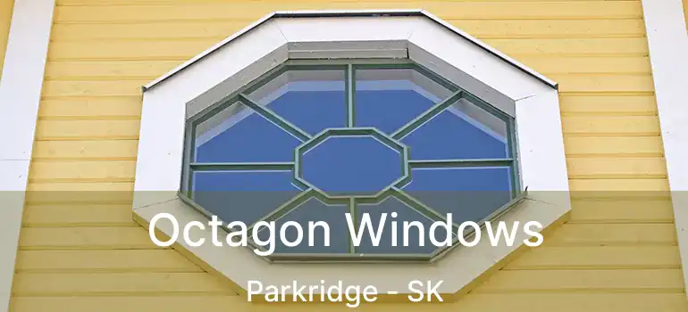  Octagon Windows Parkridge - SK