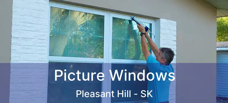  Picture Windows Pleasant Hill - SK