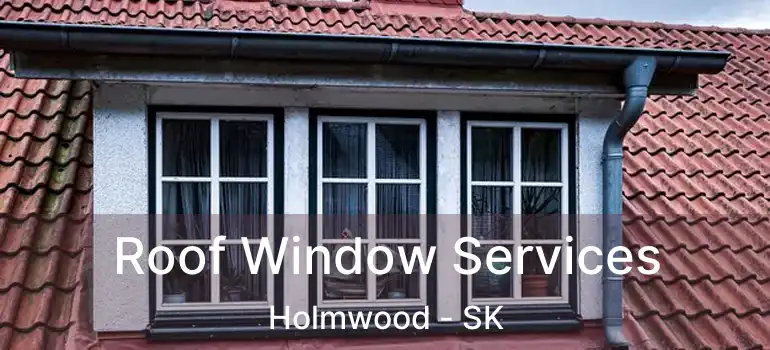  Roof Window Services Holmwood - SK