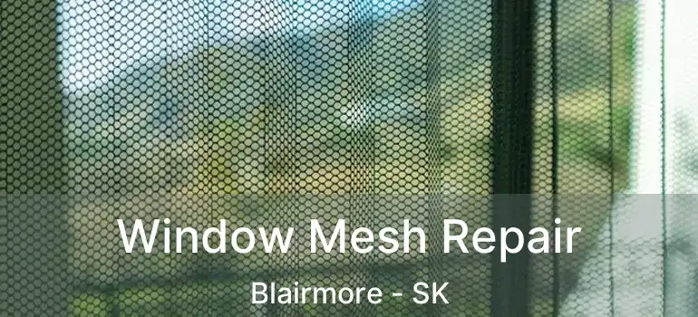  Window Mesh Repair Blairmore - SK