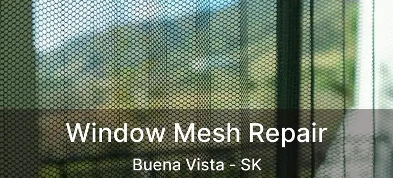  Window Mesh Repair Buena Vista - SK