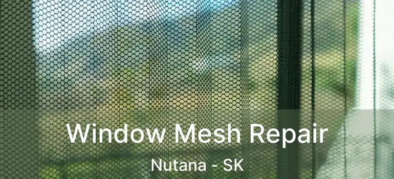  Window Mesh Repair Nutana - SK