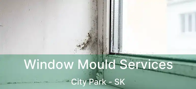  Window Mould Services City Park - SK