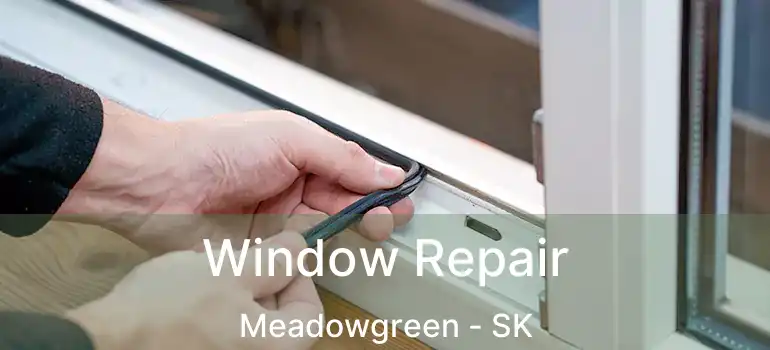  Window Repair Meadowgreen - SK