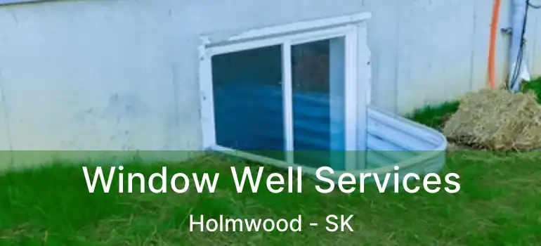  Window Well Services Holmwood - SK